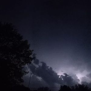 Meet your Posher, Pauline